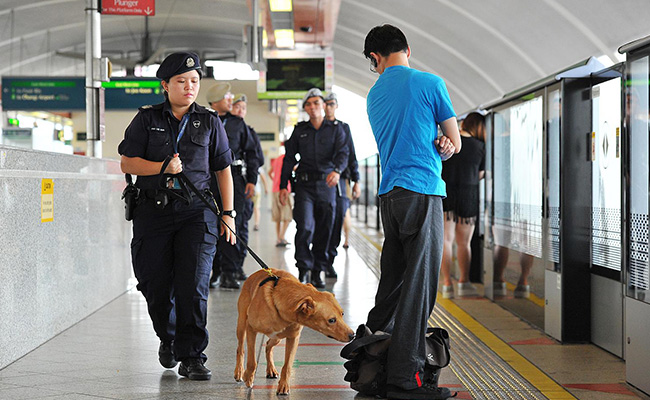 Singapore Drug Laws